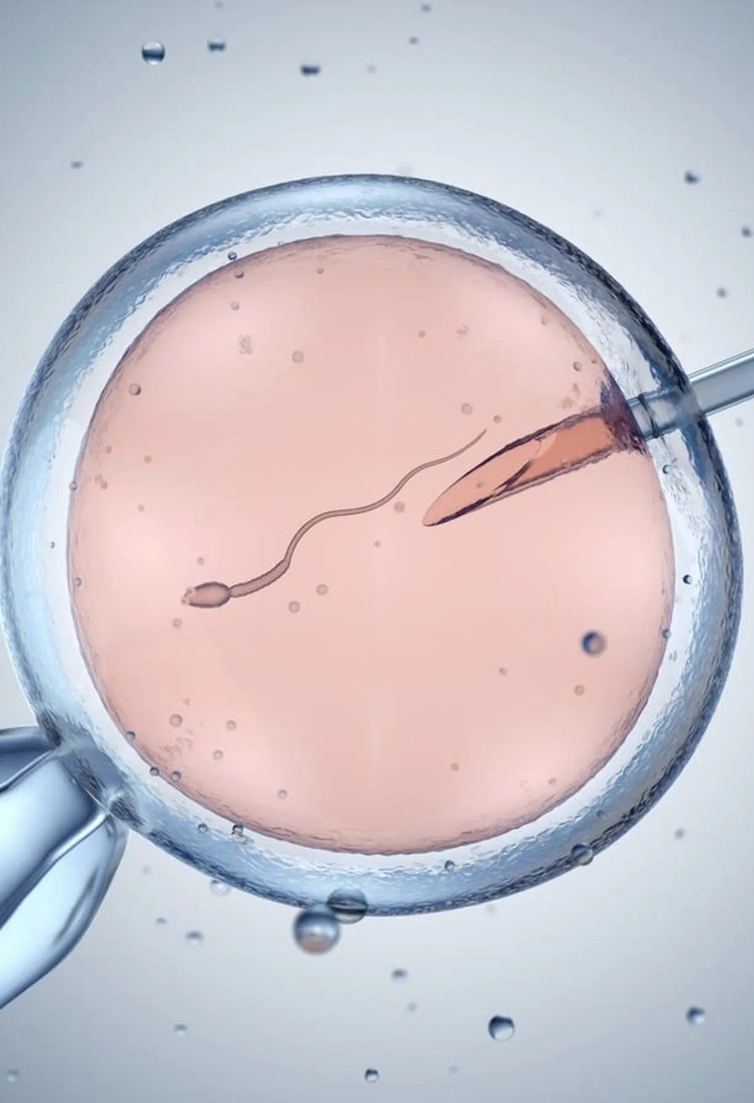Conceivable ivf portrait