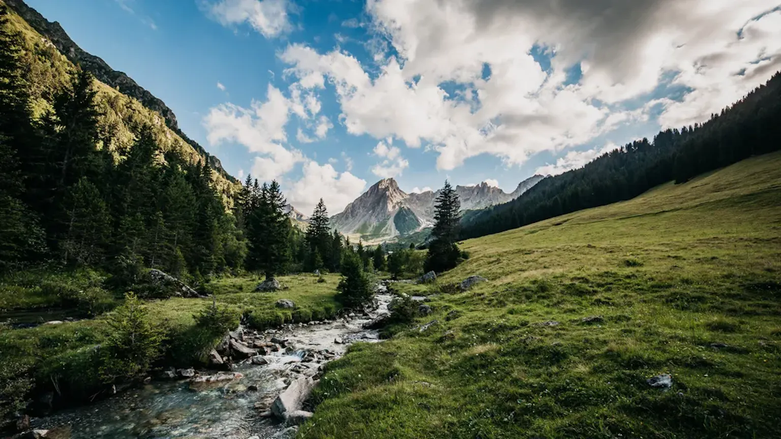 Gettyimages 1452731232