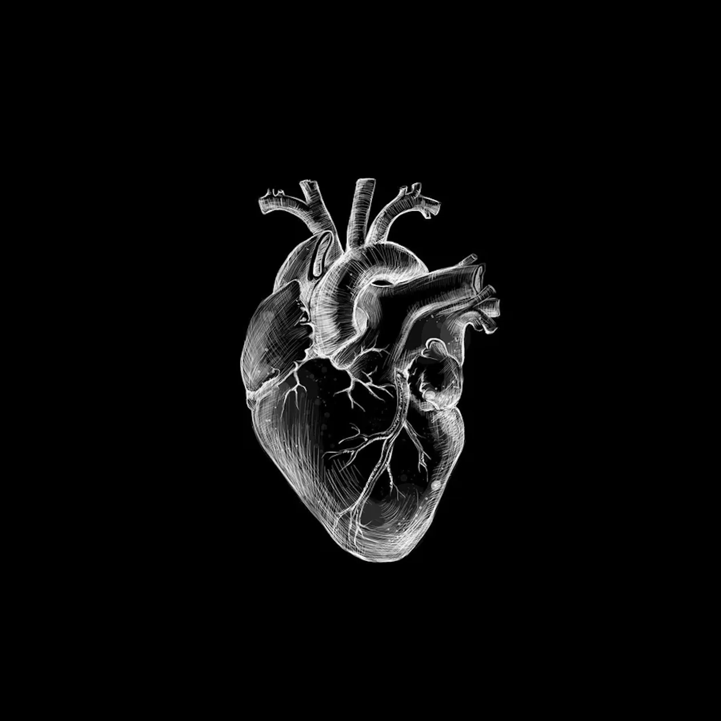 White and black heart aesthetic anatomy 1kjbq68ka1ttduca